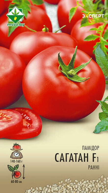 Томат "Сагатан F1" 12шт, Нидерланды.