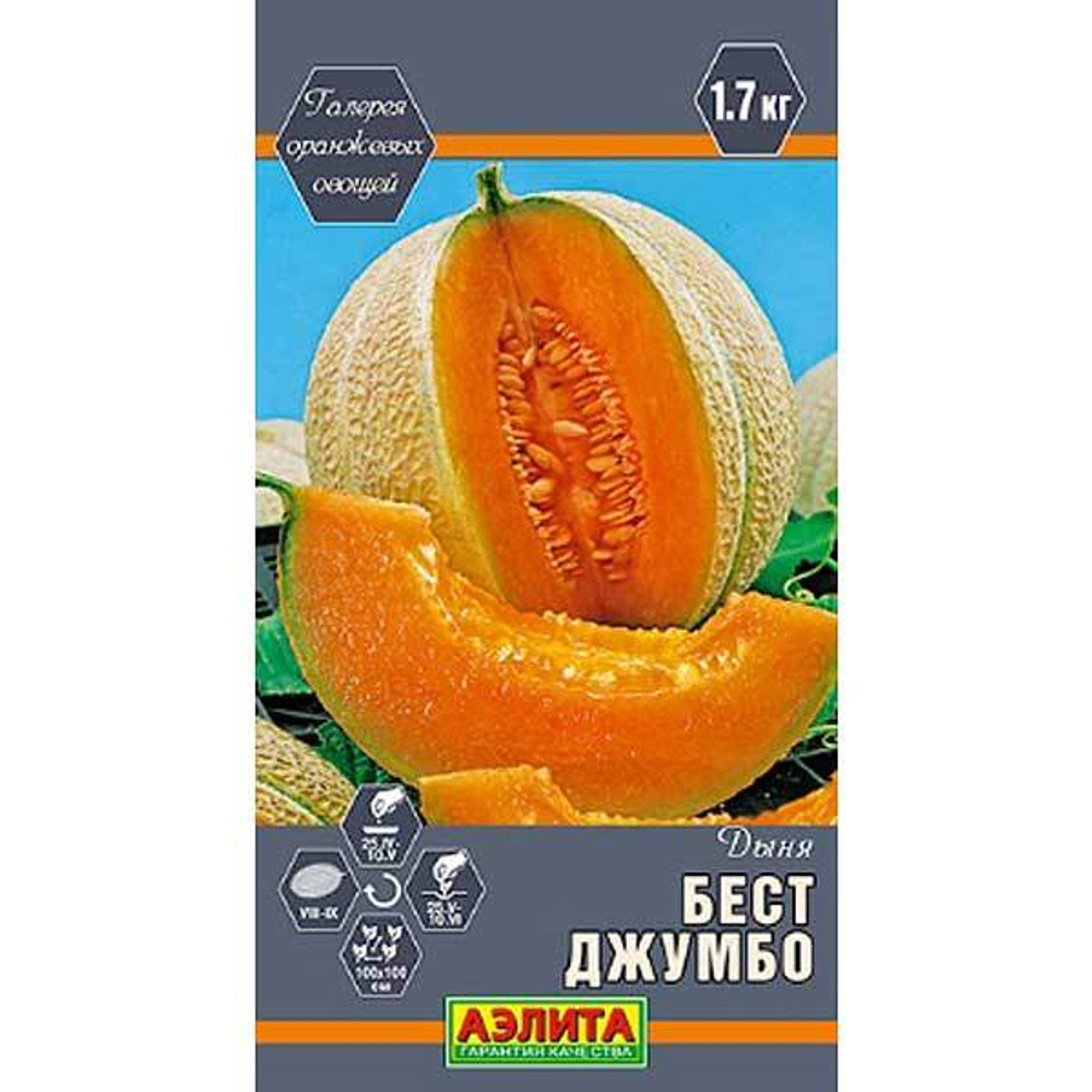 Дыня Бест Джумбо