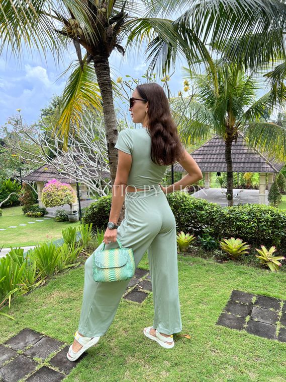 Сумка из кожи питона BG -353