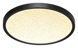 Накладной светильник Sonex Omega Black 7662/24L