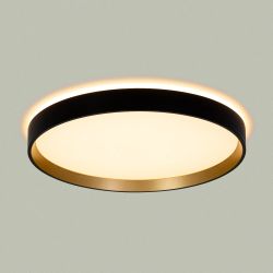 Citilux ETALON CL750321R LED RGB Светильник с пультом Чёрный+Золото