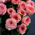 Роза чайно-гибридная London Eye