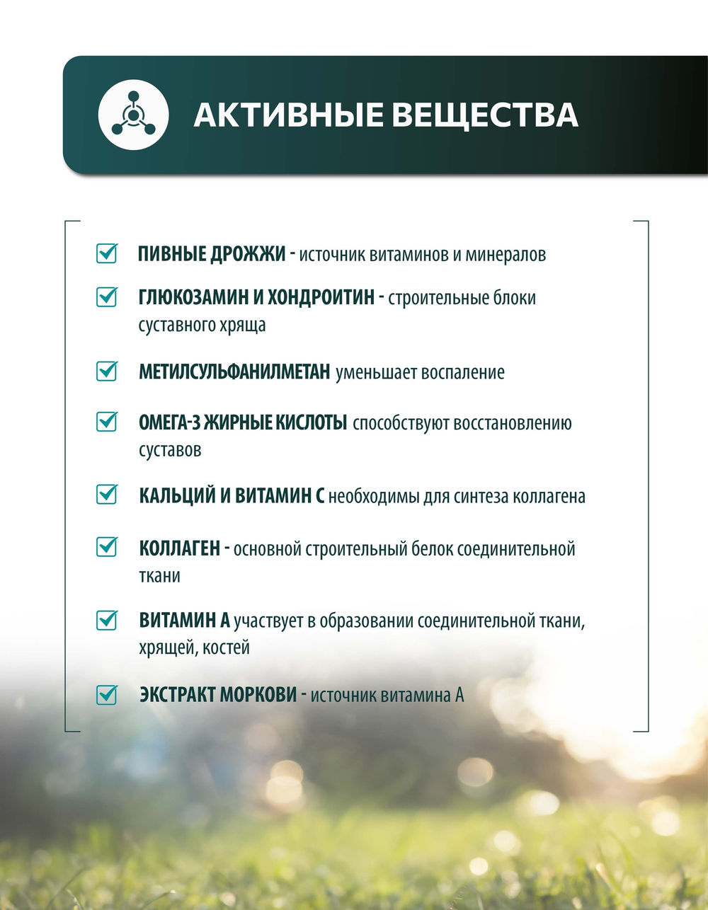 Vita+ мультивитаминное лакомство для собак Здоровые суставы, 90 таблеток