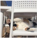 Комплект пластиковой мебели Nardi Clip 70 Bora, белый