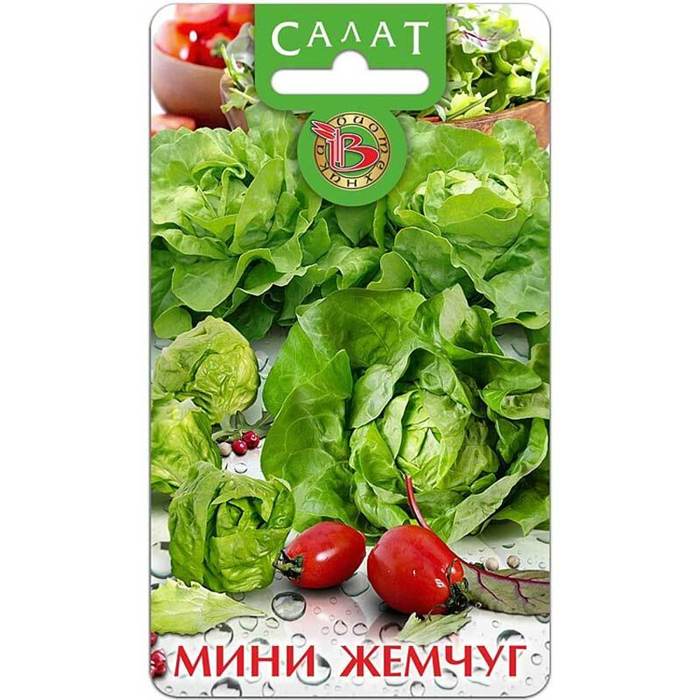Салат семена зеленый