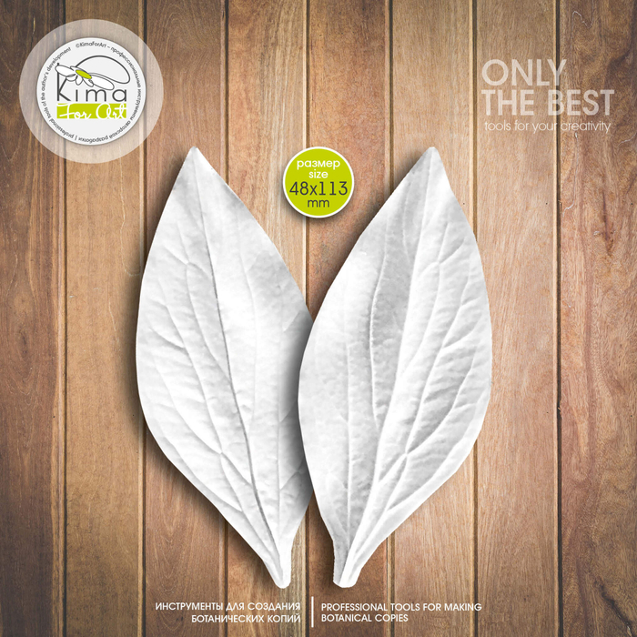 Пион лист большой