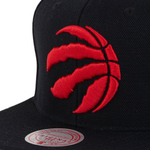 Кепка Mitchell & Ness Team Ground 2.0 Snapback Toronto Raptors