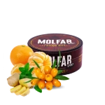 Molfar Spirit Line Autumn Legends (100 g)