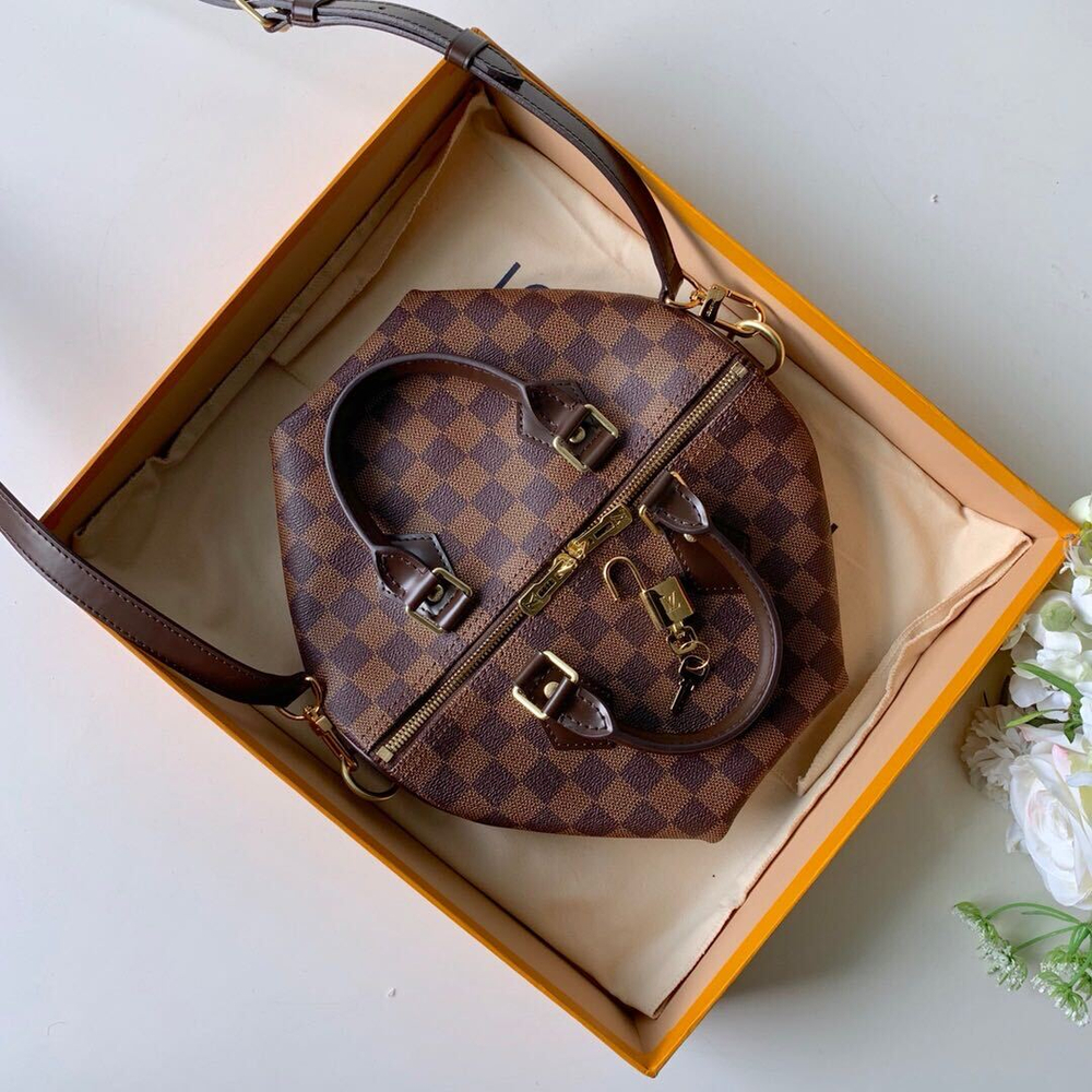 Louis Vuitton Speedy 25