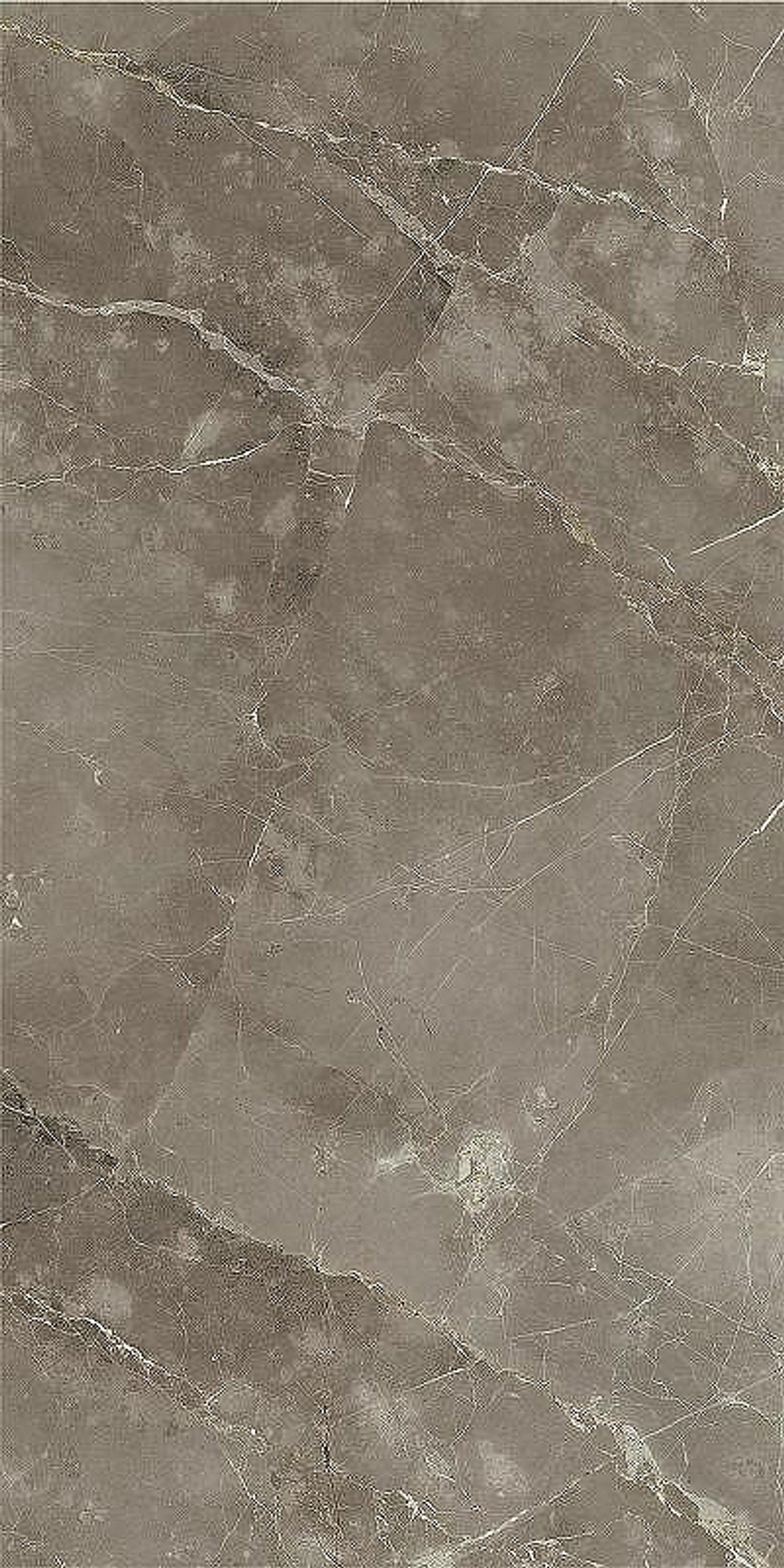 Керамогранит Italon Stellaris Tuscania Grey рет 610010002836 60х120 см