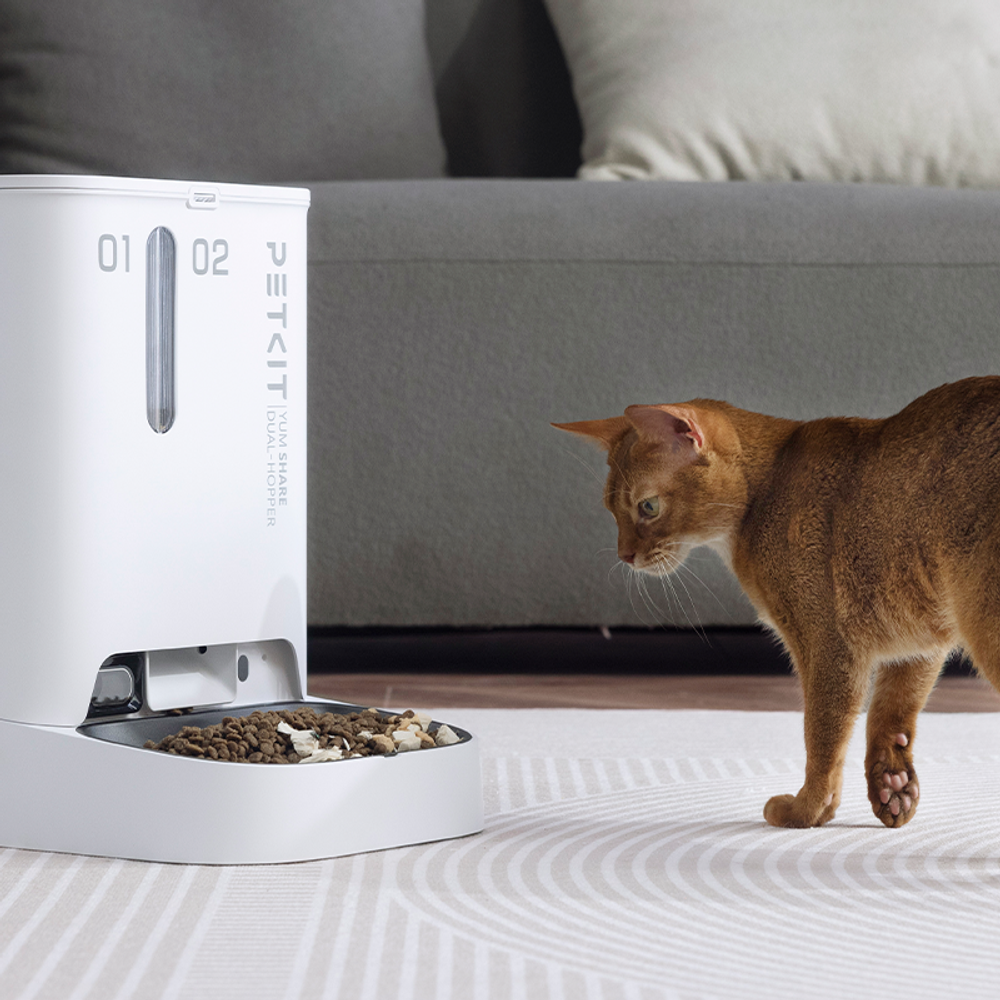 Автоматическая кормушка c видео камерой  Fresh Element YumShare Dual Hopper PETKIT