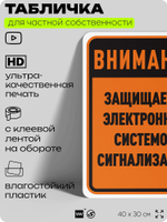 Табличка для частной территории "Внимание, защищается электронной системой сигнализации", на дом, для участка, организаций и частных территорий, 40х30 см, Silver Plane x Айдентика Технолоджи