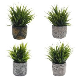 GAEM Цветочная композиция "Трава с папоротником", L12 W12 H17 см