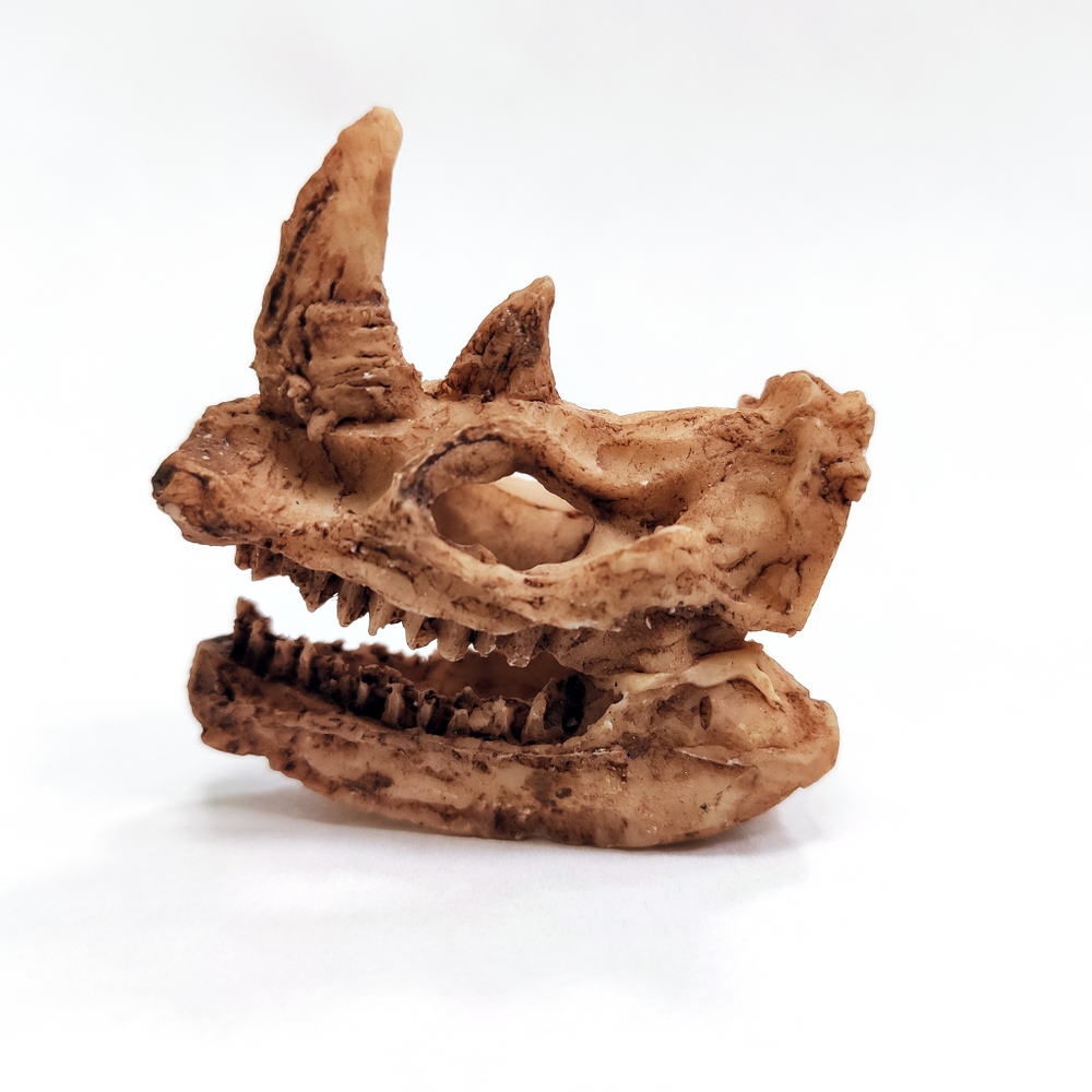 украшение для муравьиной фермы