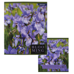 Тетрадь 48л., А5, клетка, Alingar "Blooming", скрепка, мелованный картон (стандарт), блок офсет, 4 дизайна в пленке т/у