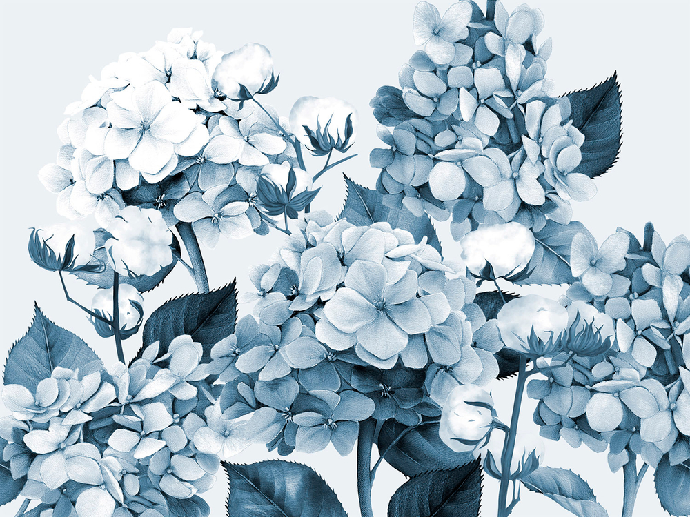 Дизайнерские обои Wall Street Herbarium