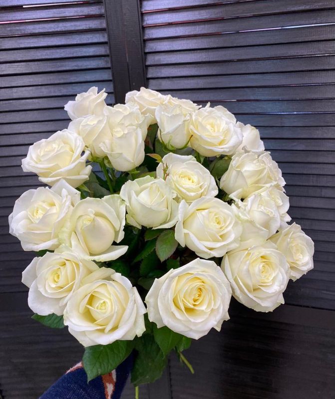 Букет из 25 голландских роз 60 см ( цвет роз на выбор ) #1544