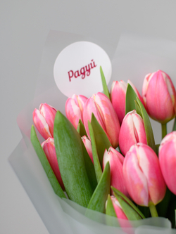 Тюльпаны микс