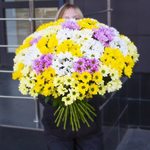 "Ромашковый микс" букет из 41 разноцветных кустовых хризантем