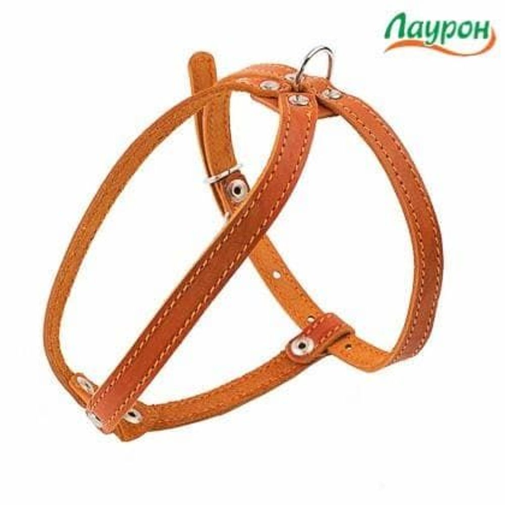 Шлейка (Лаурон) мини