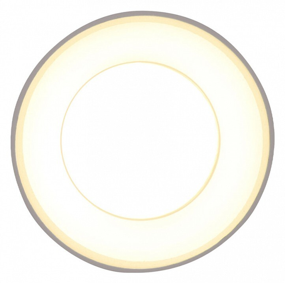 Накладной светильник Ambrella Light TN TN3411