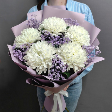 Букет из 5 одноголовых хризантем сорта "Антонов" с гипсофилой