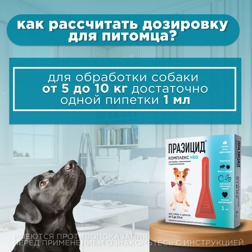 Капли на холку от блох, клещей, глистов, а также для профилактики дирофиляриоза у собак и щенков от 5 до 10 кг, Празицид-комплекс НЕО, Апиценна, 1 мл, 1 пипетка