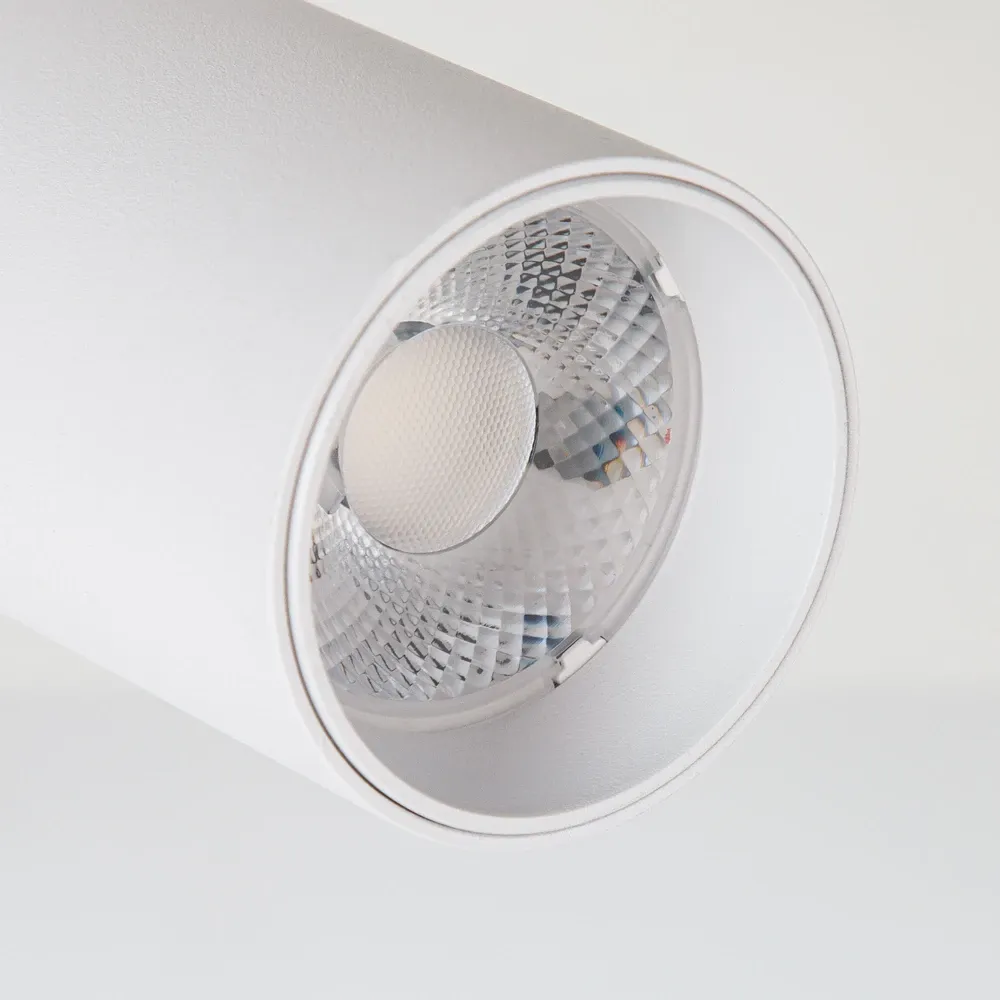 Трековый светильник Arte Lamp BENE