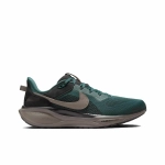 Кроссовки Nike Air Zoom Pegasus 41 'Faded Spruce' HQ6025-300