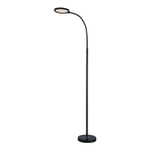 Торшер светодиодный Lussole AMADOR LSP-0918