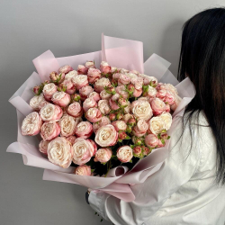 Моно букет из пионовидных кустовых роз Мадам Бомбастик 15шт