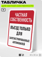 Табличка для частной территории "Частная собственность, въезд только для зарегистрированных автомобилей", на дом, для участка, 40х30 см, Silver Plane x Айдентика Технолоджи