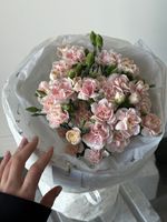Моно букет из кустовых диантусов в нежно розовом оттенке 15 шт