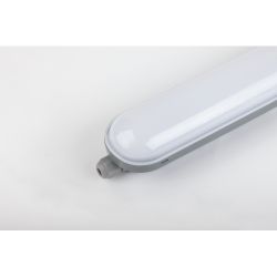 Линейный светодиодный светильник ЭРА SPP-201-0-65K-036 36Вт 6500К 3420Лм IP65 1200 матовый