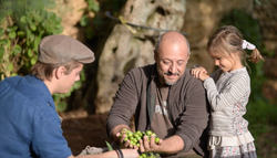 Оливковое масло CENTONZE Case Di Latomie, Biologico, Extra Virgin, темная бутылка, 1 л, Италия