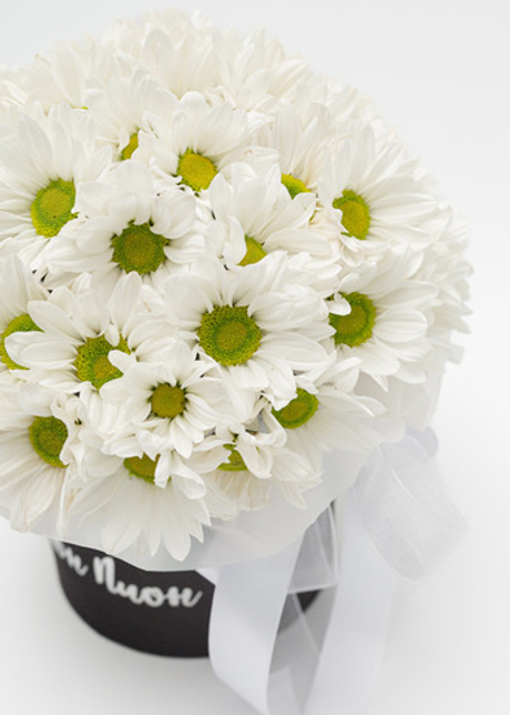 Коробочка хризантема М #9