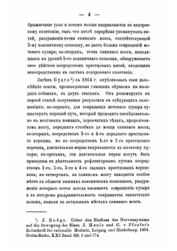 К вопросу об иннервации мочевого пузыря. Экспериментальные исследования | Скабичевский Василий Иванович