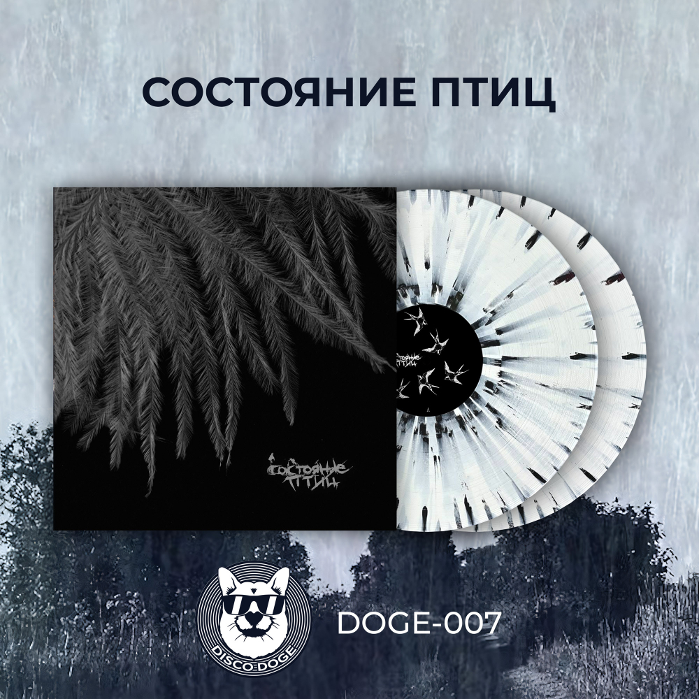 Состояние Птиц - 2xLP