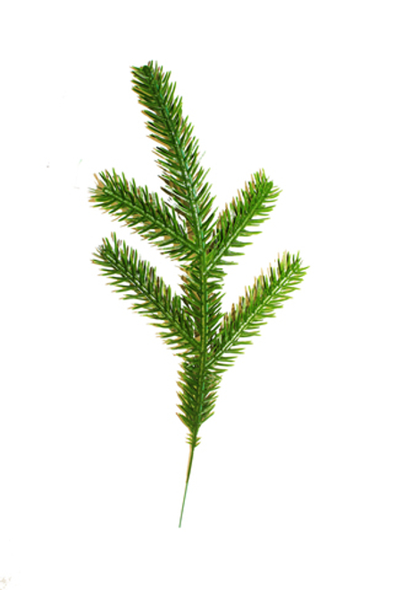 Веточка ели малая