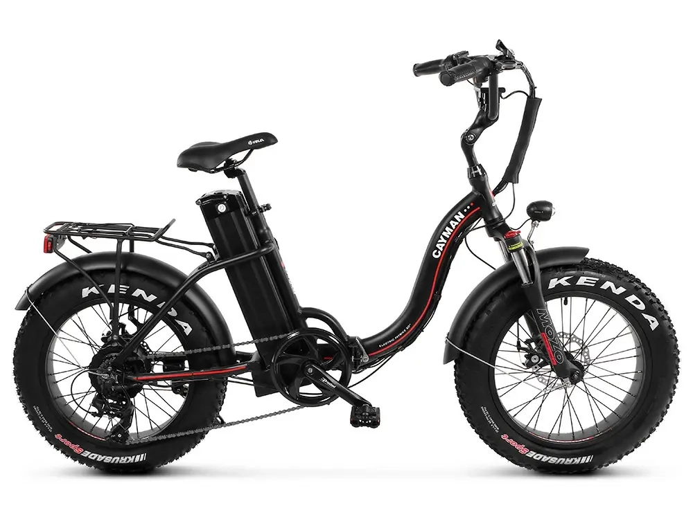 Электро фэтбайк складной Медведь Fold 350х350