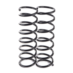 Пружины GANZ задние L=R MAZDA 3 1.4 / 1.6 / 2.0 / 1.6DI (комплект 2 шт.) Арт.: GIK02038
