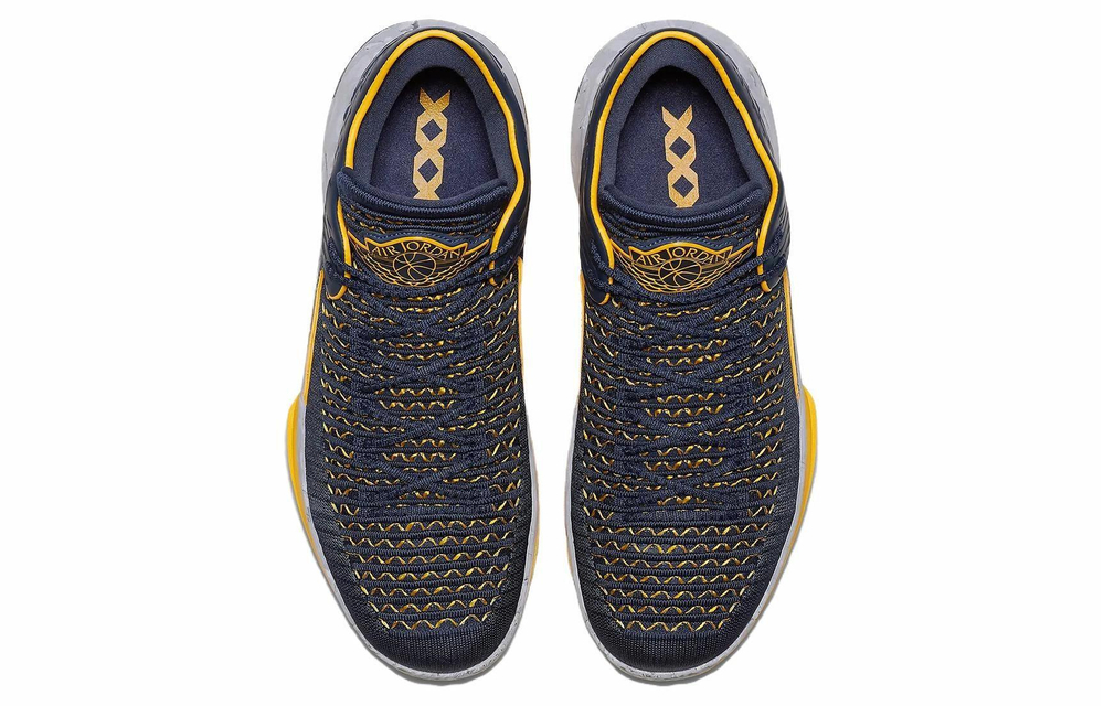 Кроссовки Jordan Air Jordan 32 Low Michigan