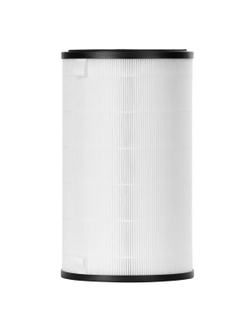 Фильтр Electrolux FAP-2075 ANTI DUST