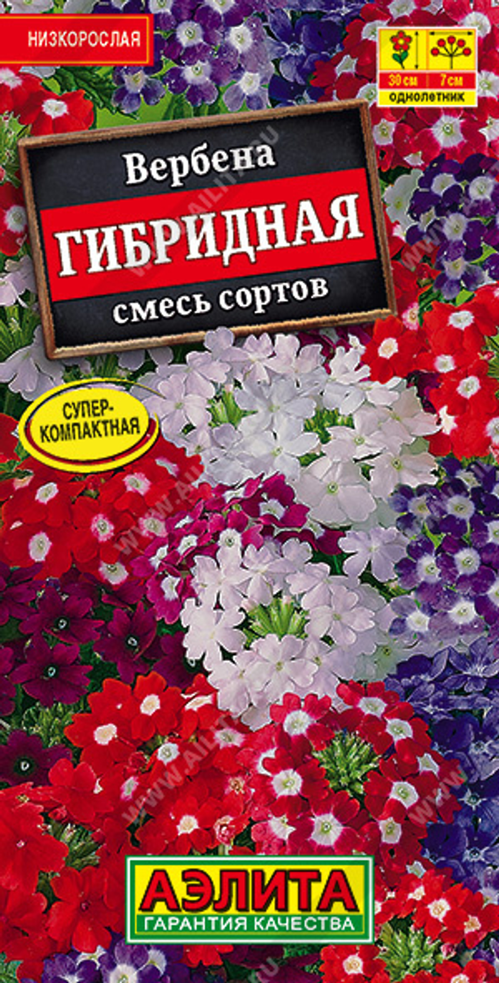 Вербена гибридная, смесь сортов 40шт Аэлита