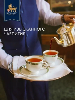 Чай в пакетиках Richard Энергия, 20 шт