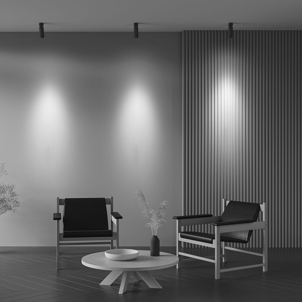 Спот светодиодный Maytoni   C055CL-L12W2.7K-Z-B