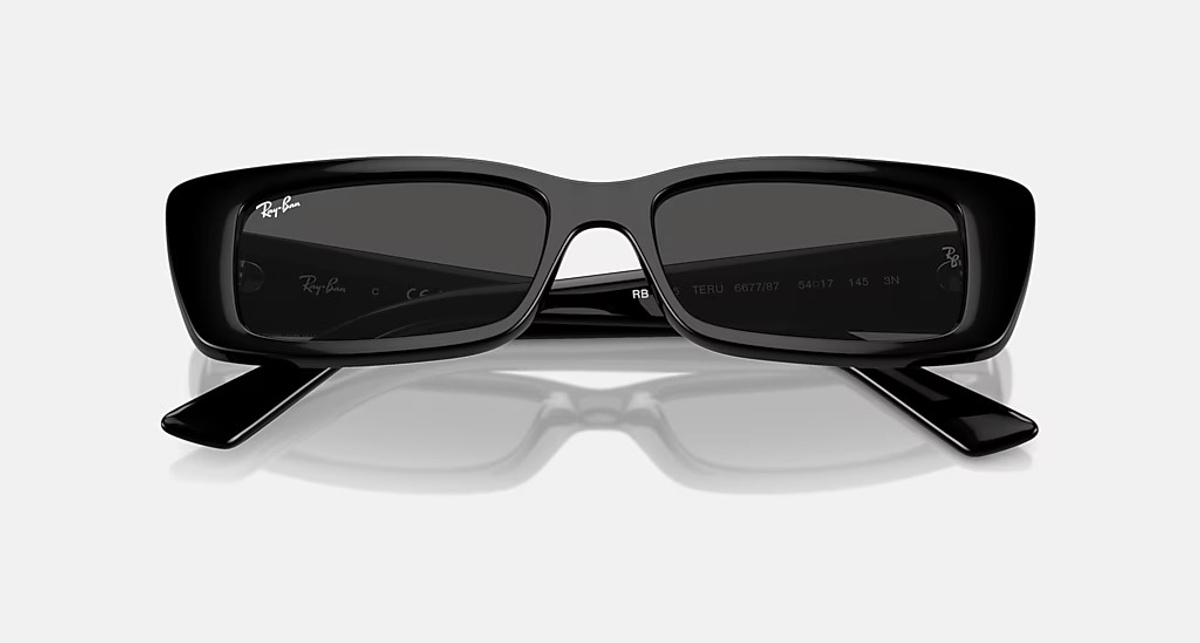 RAY-BAN TERU BIO-BASED RB4425 667787