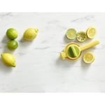 Соковыжималка для цитрусовых juicemax