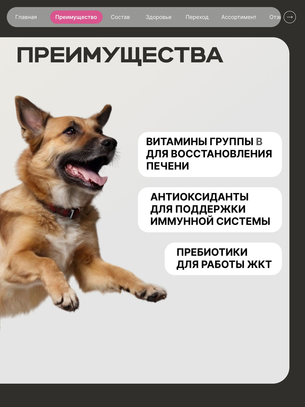 Корм сухой для взрослых собак средних пород, премиум полнорационный комплекс, забота о здоровье печени, с говядиной, 12 кг, QUATTRO
