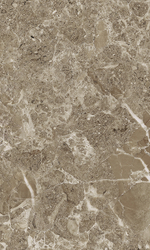Saloni brown wall 02 v2 300х500 (1-й сорт)